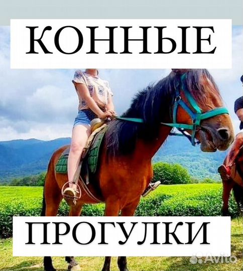 Экскурсии туры сочи абхазия