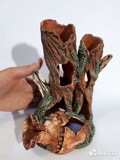 Аквариумистика