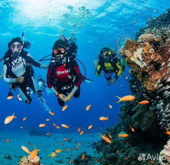 Поездка на гоа от 7 дней