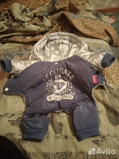 Зимний костюм для собаки