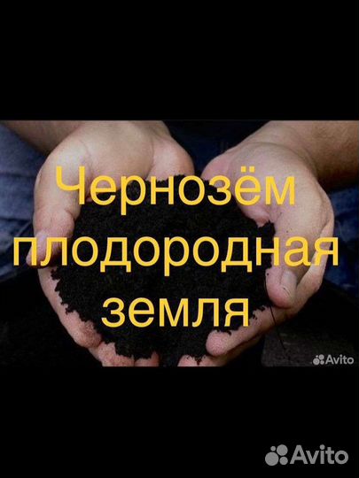 Земля чернозем