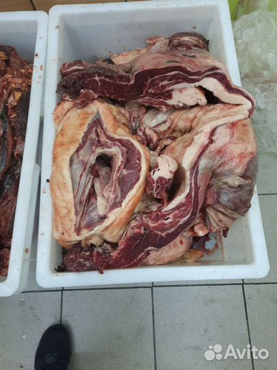 Мясо конина