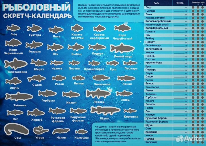 Рыболовный Скретч-Календарь