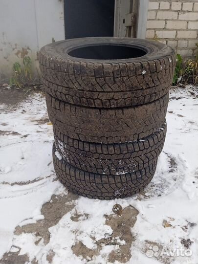 Viatti Brina Nordico V-522 195/65 R15