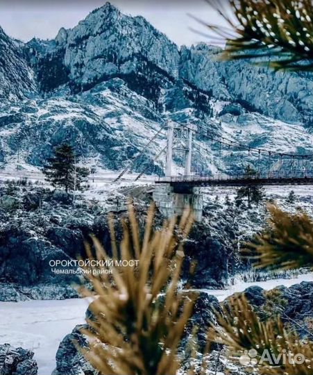 Турпутевка на Алтай зимой экспедиции от 5 до 9 д