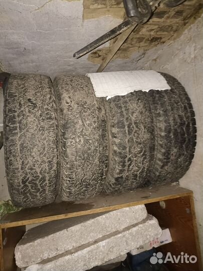 Cordiant Polar 215/65 R16