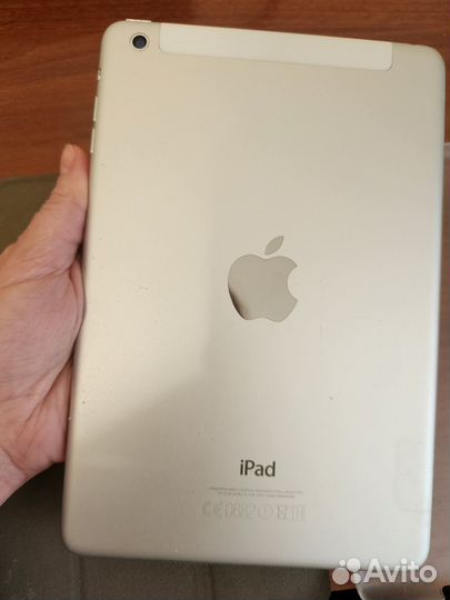 iPad mini Wi-Fi Cellular 16 gb silver
