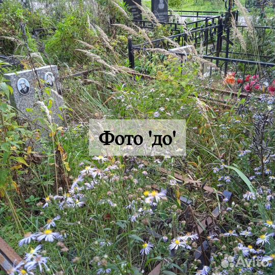 Уборка могилы / Покраска ограды на кладбище