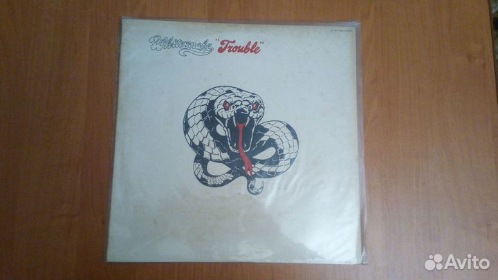 Виниловые пластинки-14