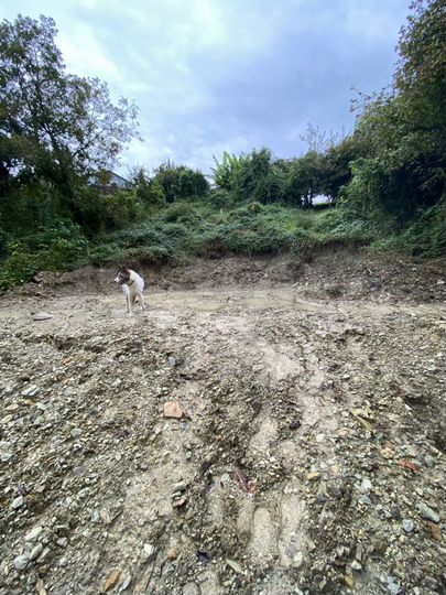 Участок 6 сот. (ИЖС)