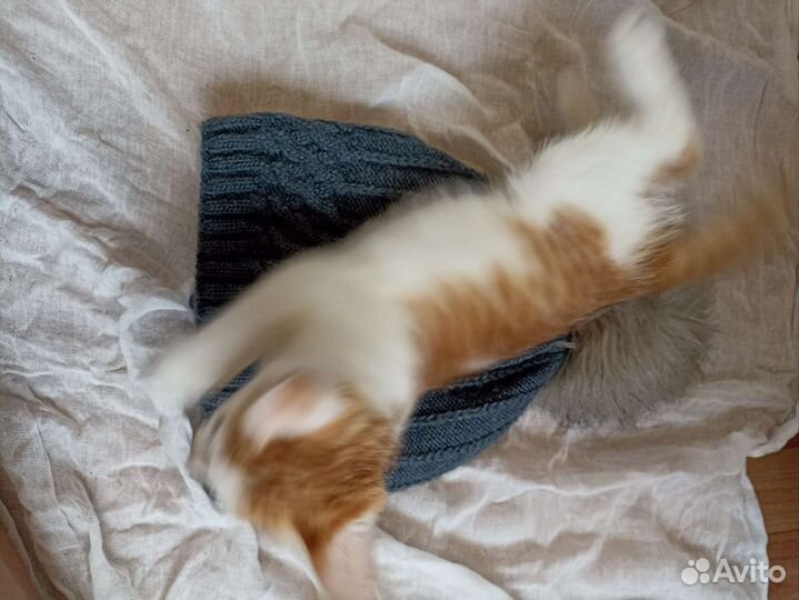 Шапка для девочки новая зимняя