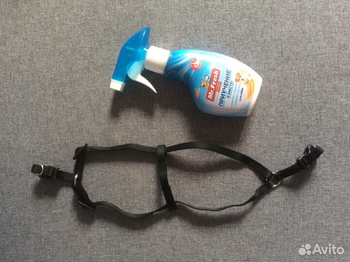 Шлейка и жидкость приучение к лотку