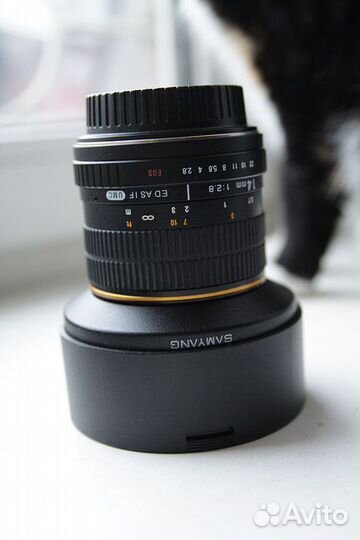 Объективы для Canon ef. Sigma и Samyang