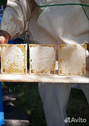 Липовый мед с семейной пасеки