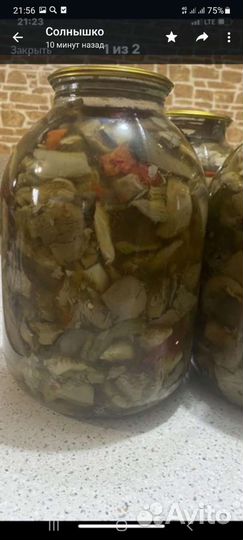 Продукты питания, вёшенка