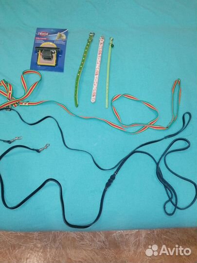 Ошейники и поводки