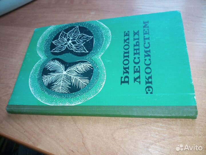 Биополе лесных экосистем. Марченко И. С
