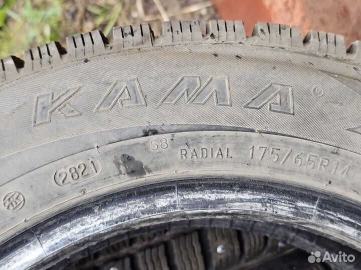 КАМА 505 Irbis 175/65 R14