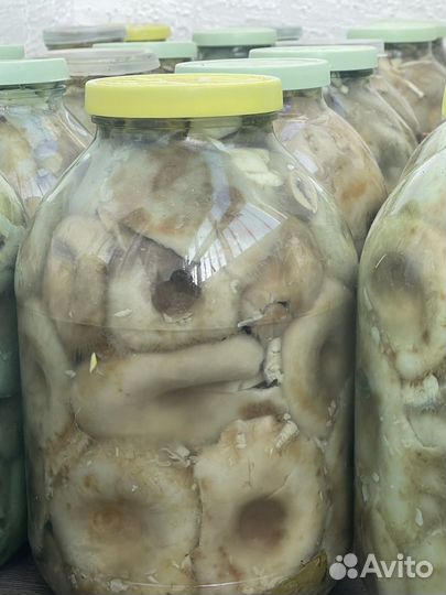 Грузди соленые горячего посола