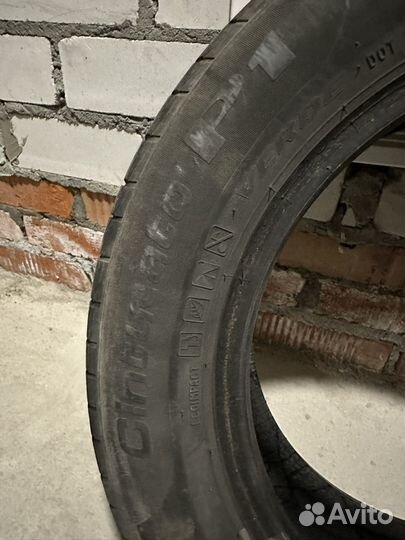 Pirelli Cinturato P1 185/65 R15