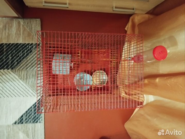 Клетка для грызунов