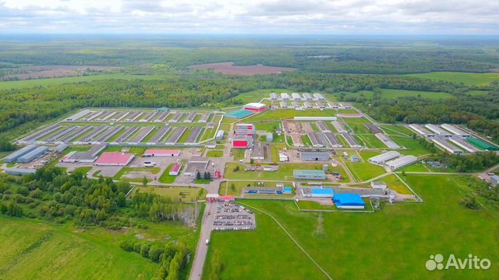 Вахта.Челябинская обл.Упаковка куриных полуфабрика