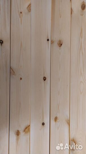 Планкен прямой, ангарская сосна, сорт практик