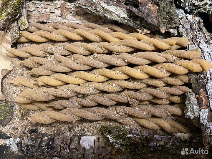 Ритуальные свечи