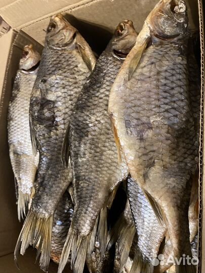 Вяленая рыба