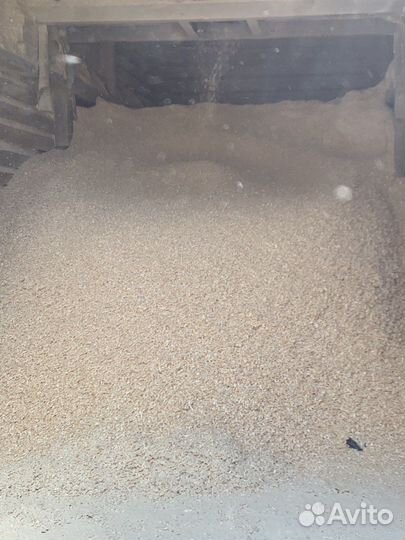 Опилки сухие крупные в мешках из сосны/ели 240 лит