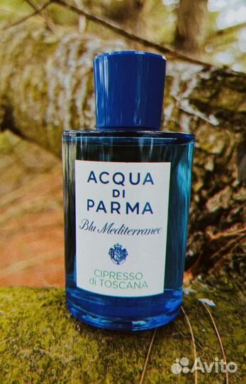 Туалетная вода Acqua di Parma Cipresso di Toscana