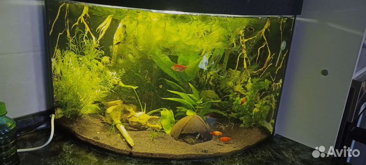 Аквариум