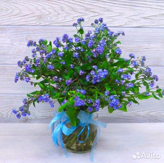 Незабудки букет