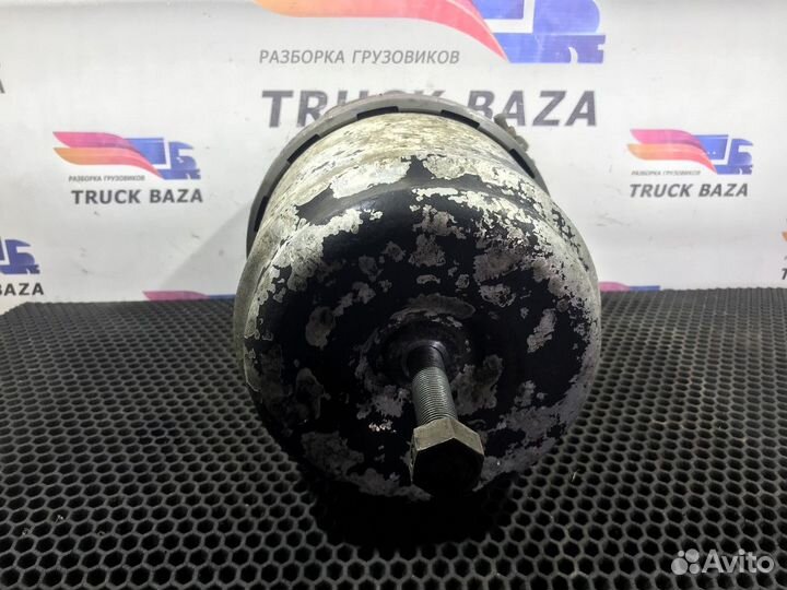 Энергоаккумулятор тормозной Man L2000, Man TGL