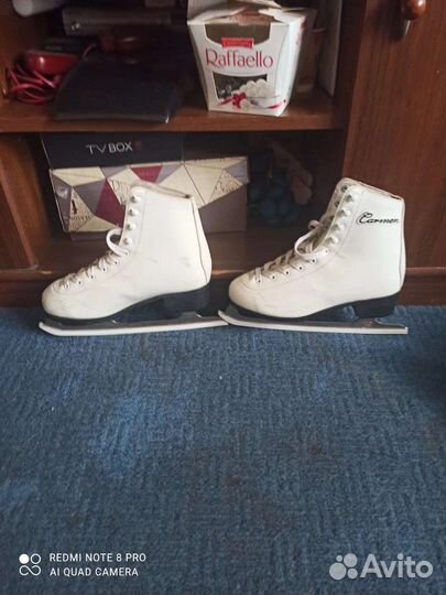 Зимний виды спорта коньки