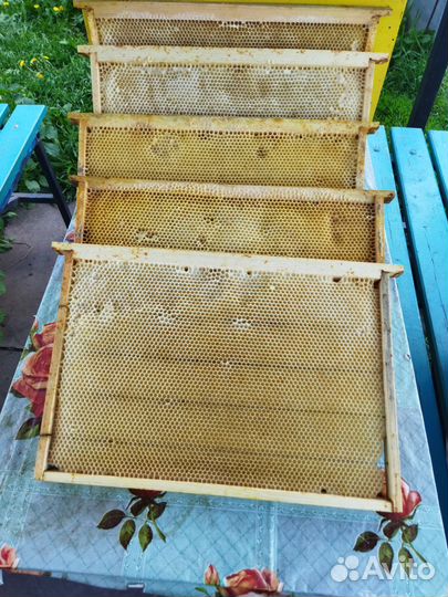 Рамки с сушью