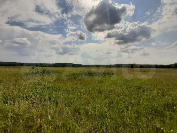 Участок 252 га (СНТ, ДНП)