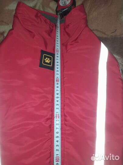 Одежда для собак