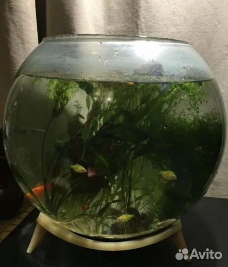 Аквариум СССР на 25-30 л