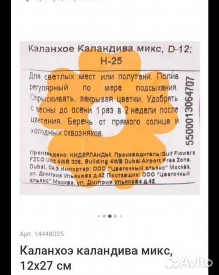 Отдам срезы комнатных цветов