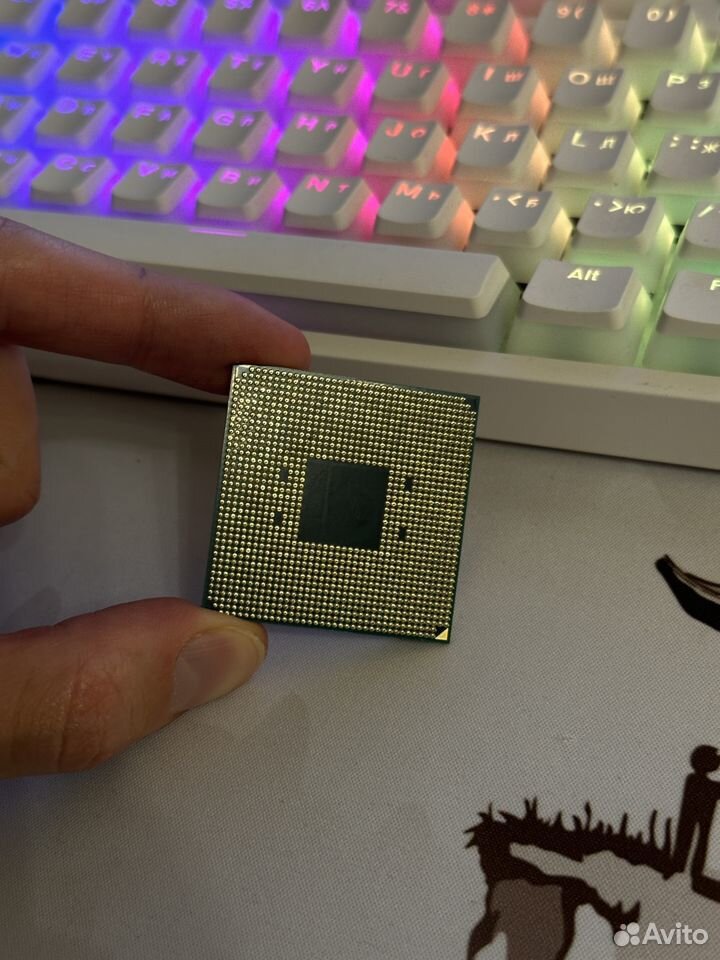 Ryzen 5 5600