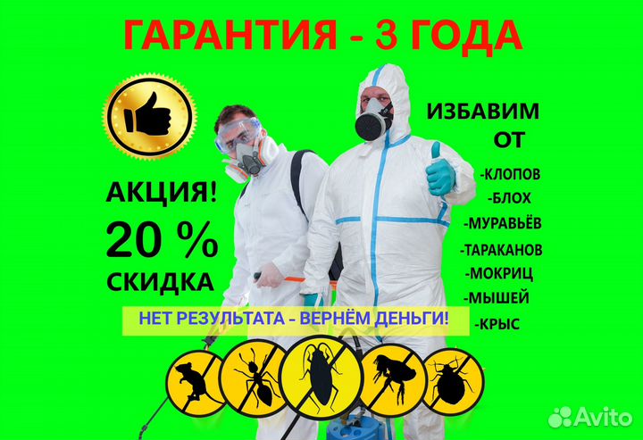 Уничтожение клопов, тараканов, мышей