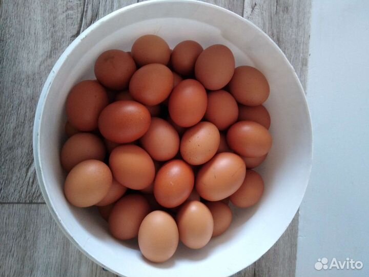 Деревенские куриные яйца
