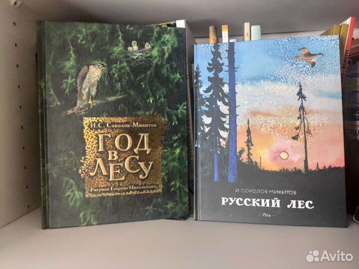 Лето косолапое Книги для детей. Часть 2
