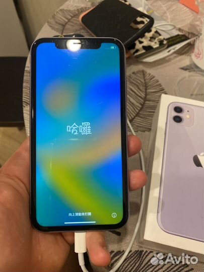 iPhone 11 64gb