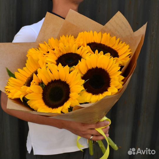 Подсолнух Цветы Букет Москва