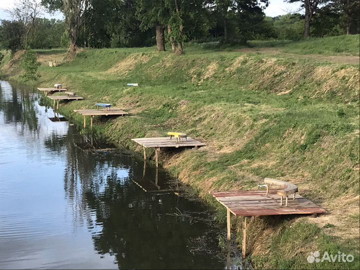 Платная рыбалка