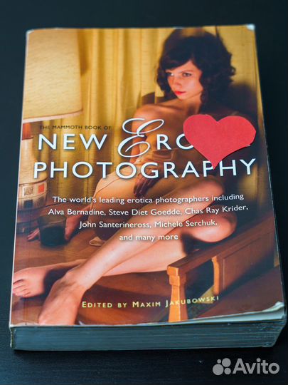 The Mammoth Book of New Erotic Photography