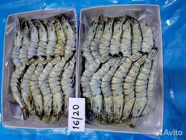 Тигровая чёрная креветка, размер 16/20