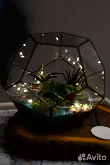 Флорариум Додекаэдр с подсветкой